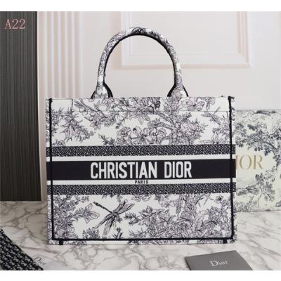 Dior Bags AAA 047